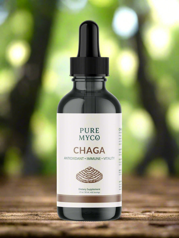 Pure Myco Chaga Tincture