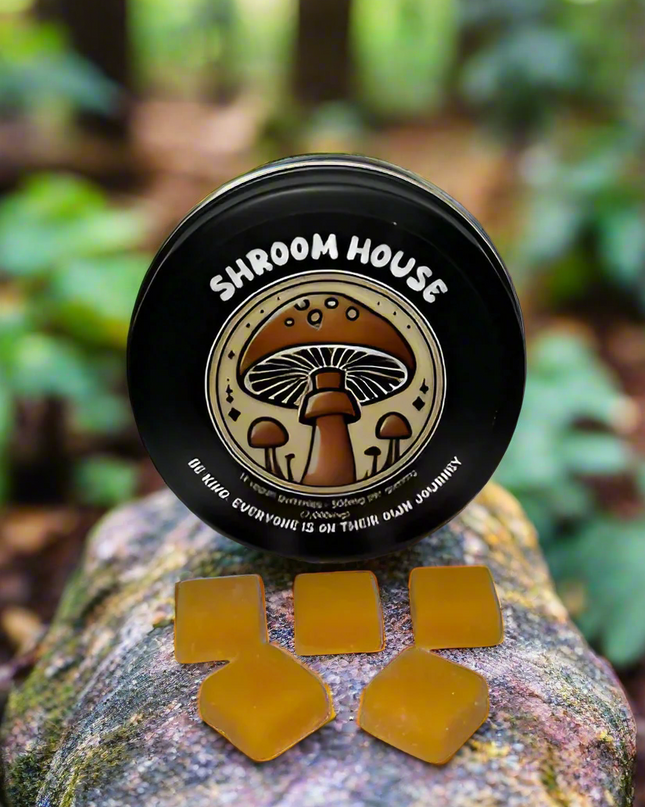 Shroom House Gummies - Mango Puree