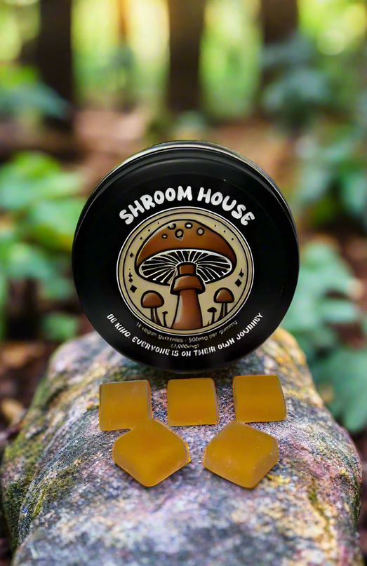 Shroom House Gummies - Mango Puree